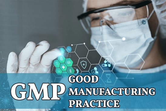 Организация совмещённого производства нестерильных лекарственных препаратов и IMP с позиции требований GMP. Управление рисками при использовании общего оборудования, помещений и персонала