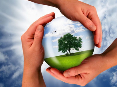 Требования   стандарта ISO 14001:2015 / СТБ ISO 14001-2017